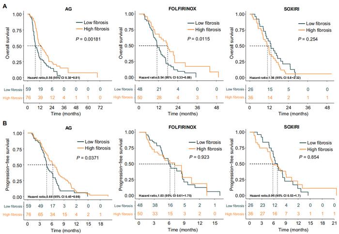 Fig 4. Clinical utility of CT-based fibrosis prediction across chemotherapy regimens.