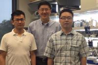 Collaborators from the University of Iowa