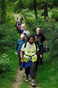 Walking for Health