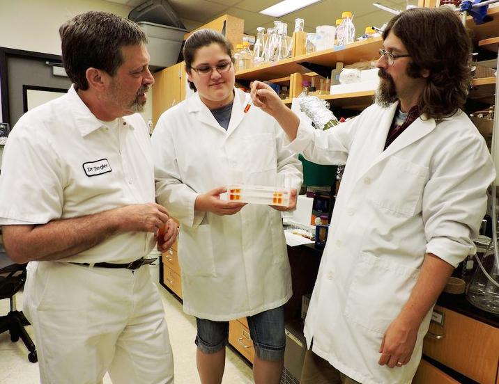Researchers