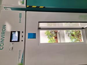 Food plants growing inside environmental chamber