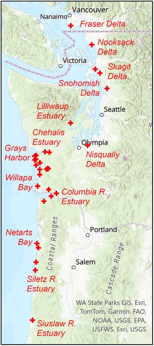 Beaver in tidal habitat: Examples from the Pacific Northwest