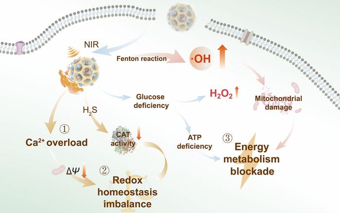 The hollow-hierarchical multistage H2S blasting nanomedicine synergistically affects energy metabolism and redox imbalance