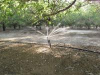 Irrigation