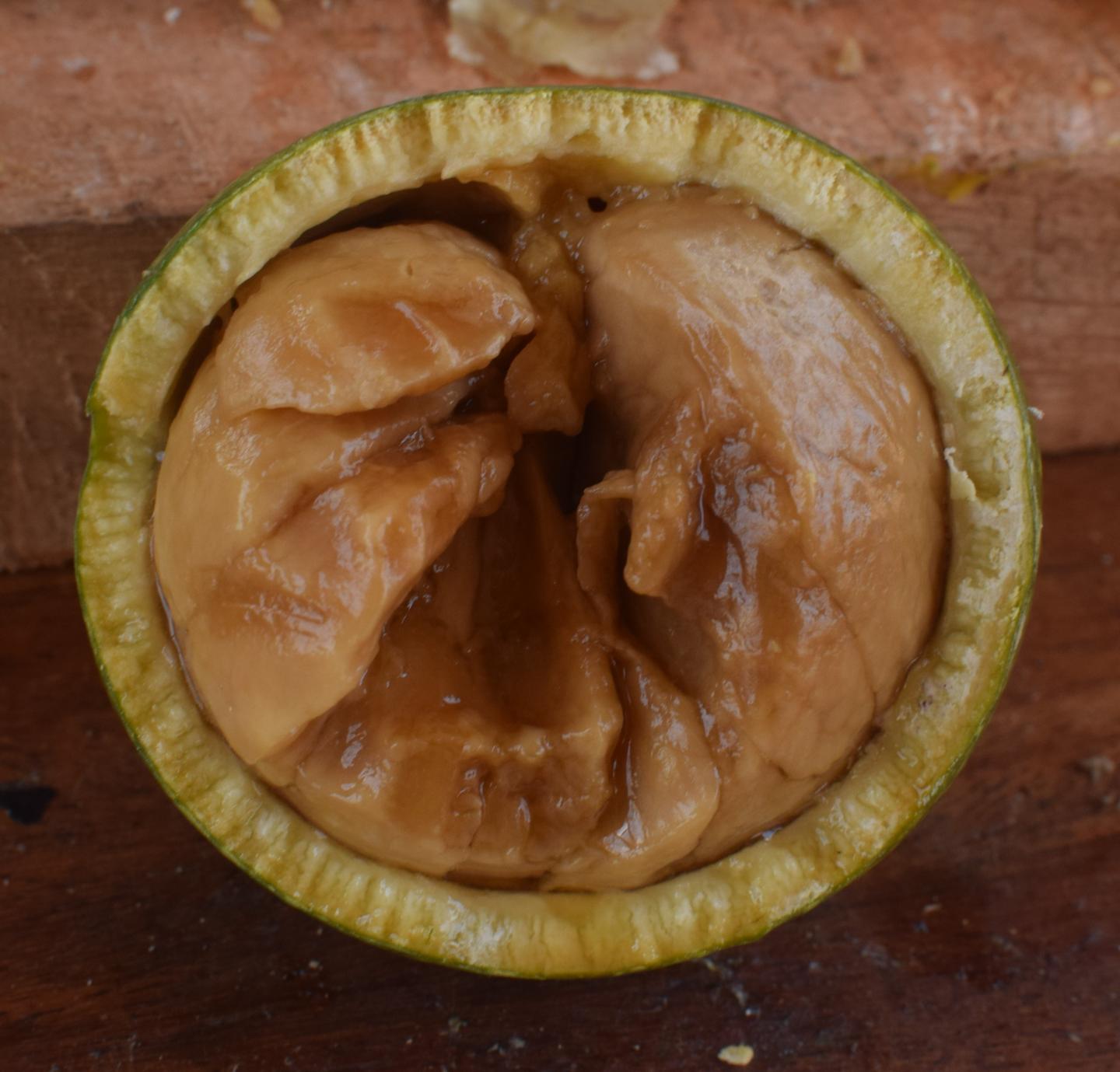 Strychnos Fruit