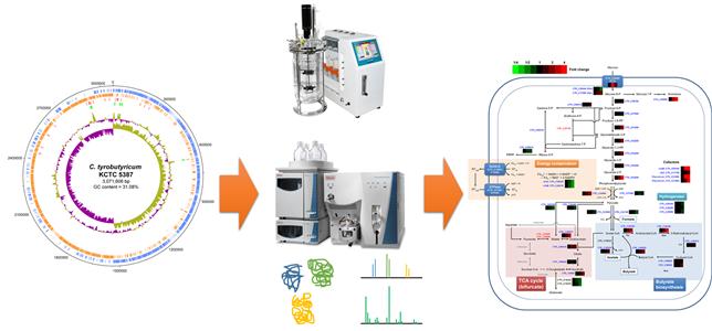 Schematic Diagram
