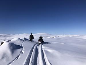 wildlife rangers in the Arctic,