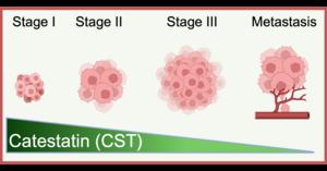 Catestatin graphic