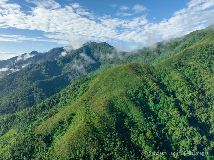 Landscape view of Yingku village in Arunachal Pradesh