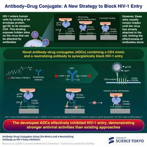 Antibody–Drug Conjugate: A New Strategy to Block HIV-1 Entry