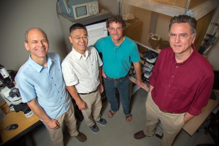 Researchers Unlock Mysteries of Brain and Behavior