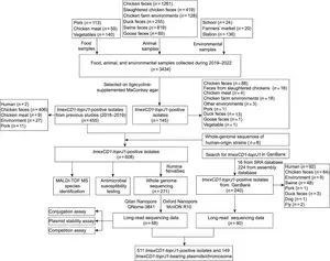 Schematic diagram of the research workflow.