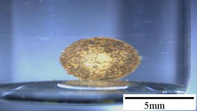 Nanoassemblies