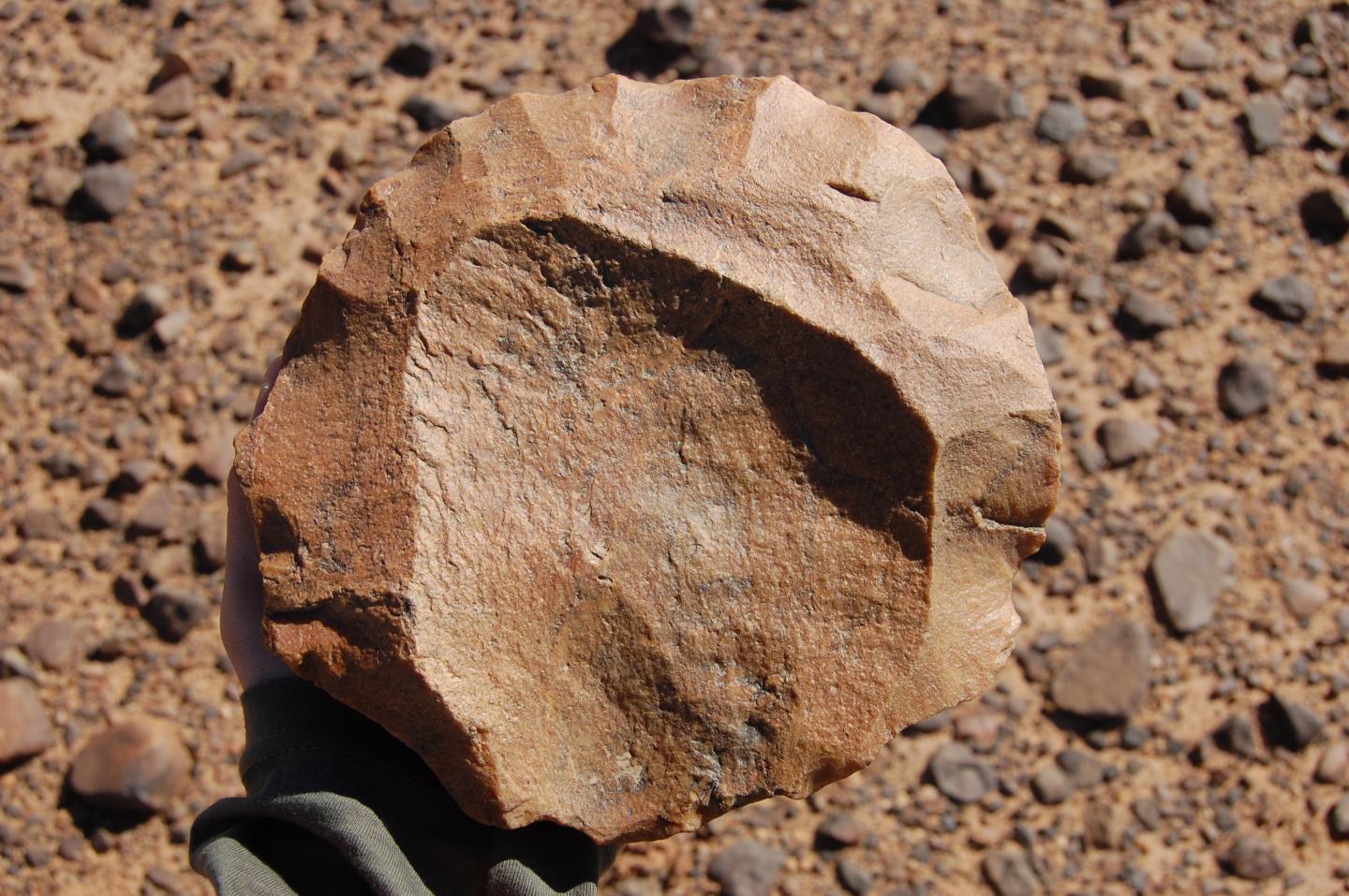 Levallois Core