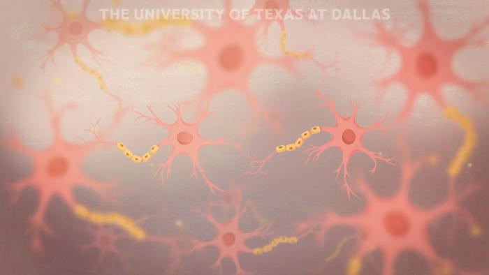 Extracellular phosphorylation via VLK animation