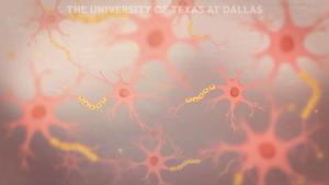 Extracellular phosphorylation via VLK animation