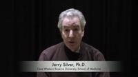 Scientists Break Early Barrier to Treating Spinal Cord Injuries