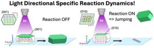 【Fig.4】Control of reaction initiation and termination by incident light direction
