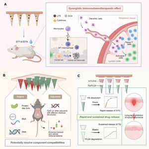 FIG. 5. MN-MEDIATED MULTI-DRUG COMBINATION STRATEGIES TO ENHANCE THE SYNERGISTIC EFFECTS