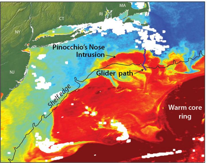 Pinocchio's Nose Map