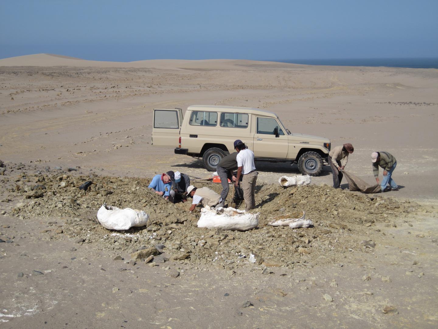 Excavation