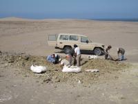 Excavation