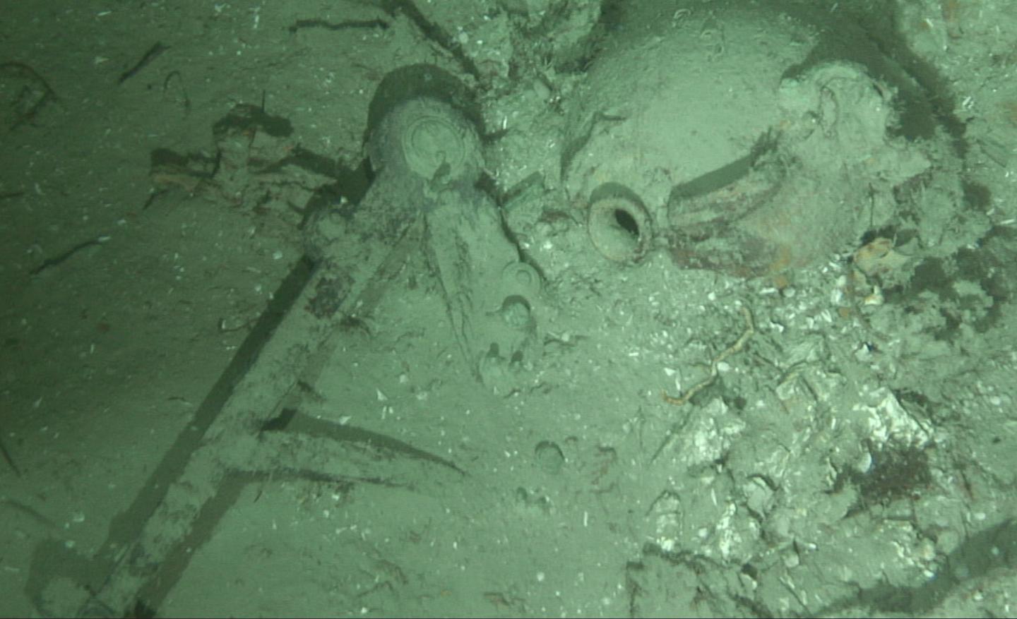 Shipwreck 3