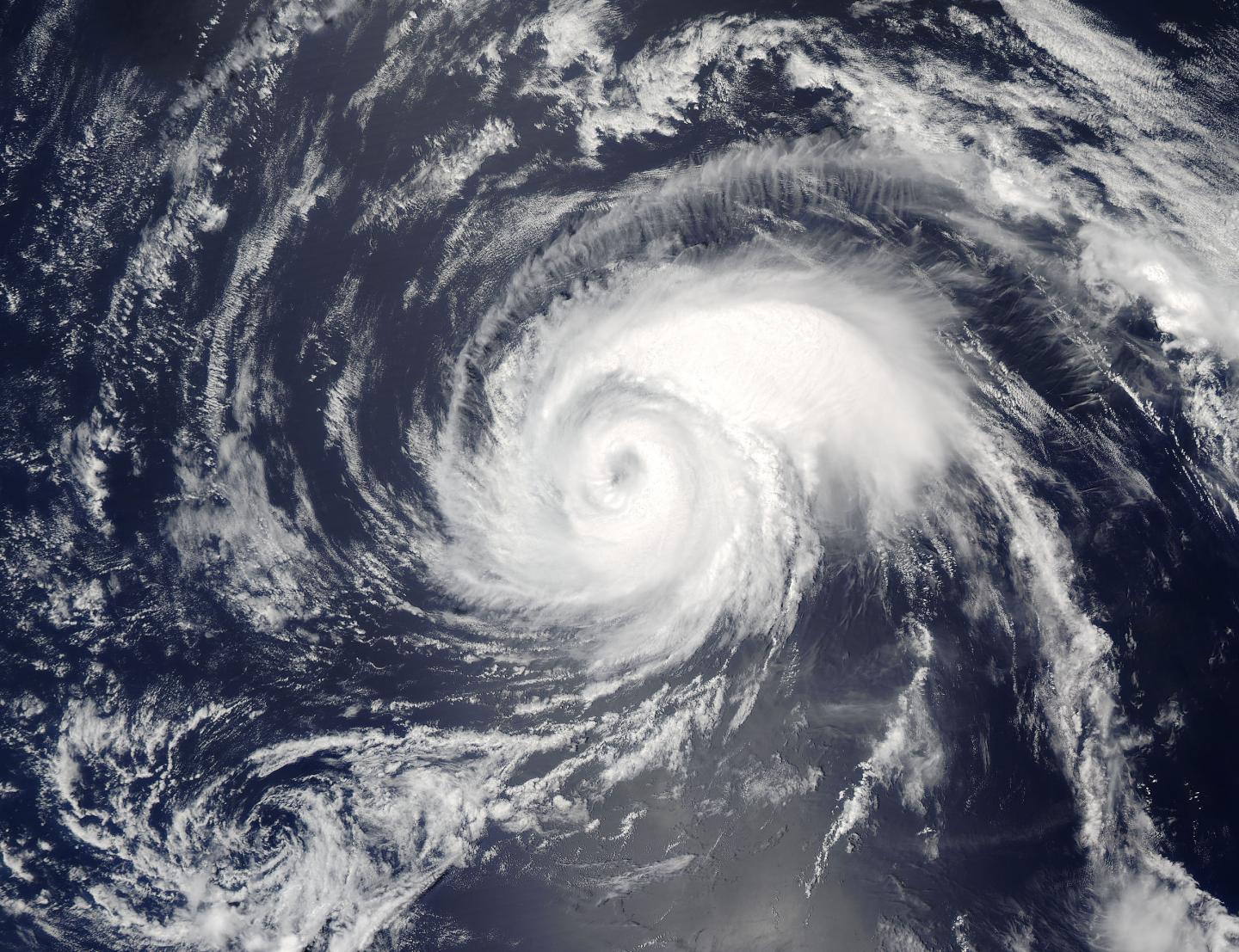 Aqua Image of Noru