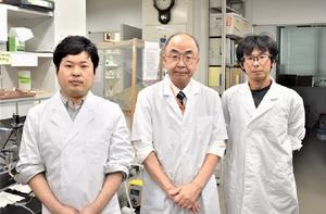 Authors of the article