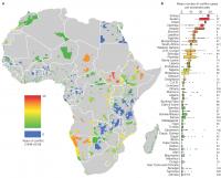 Africa Graphic