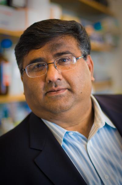 Dharminder Chauhan, Ph.D., Dana-Farber Cancer Institute