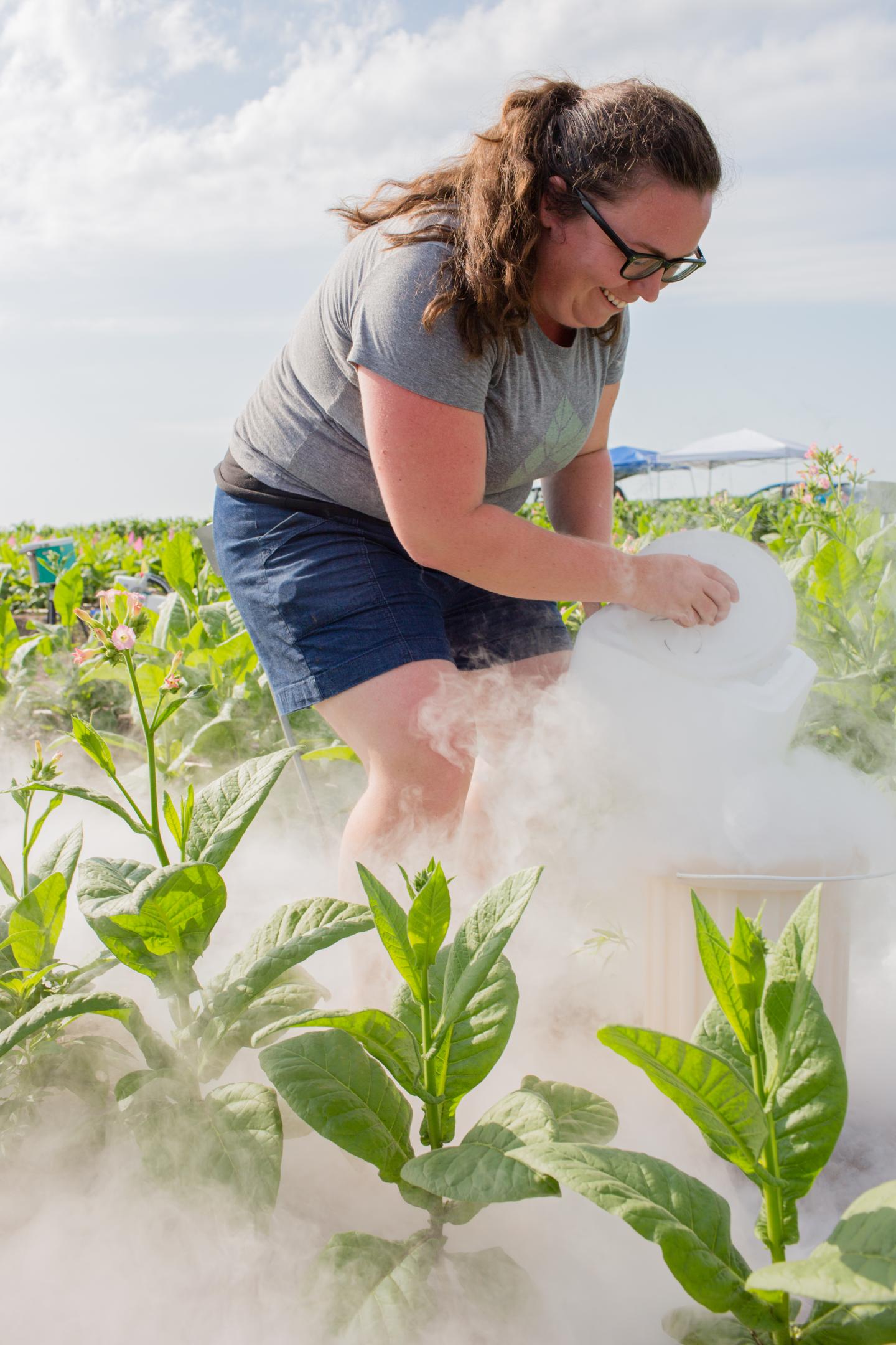 The Transgenic Key to More Productive Crops (3 of 7)