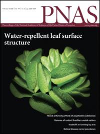 Figure 2. The Cover of PNAS Issue 5, 2020