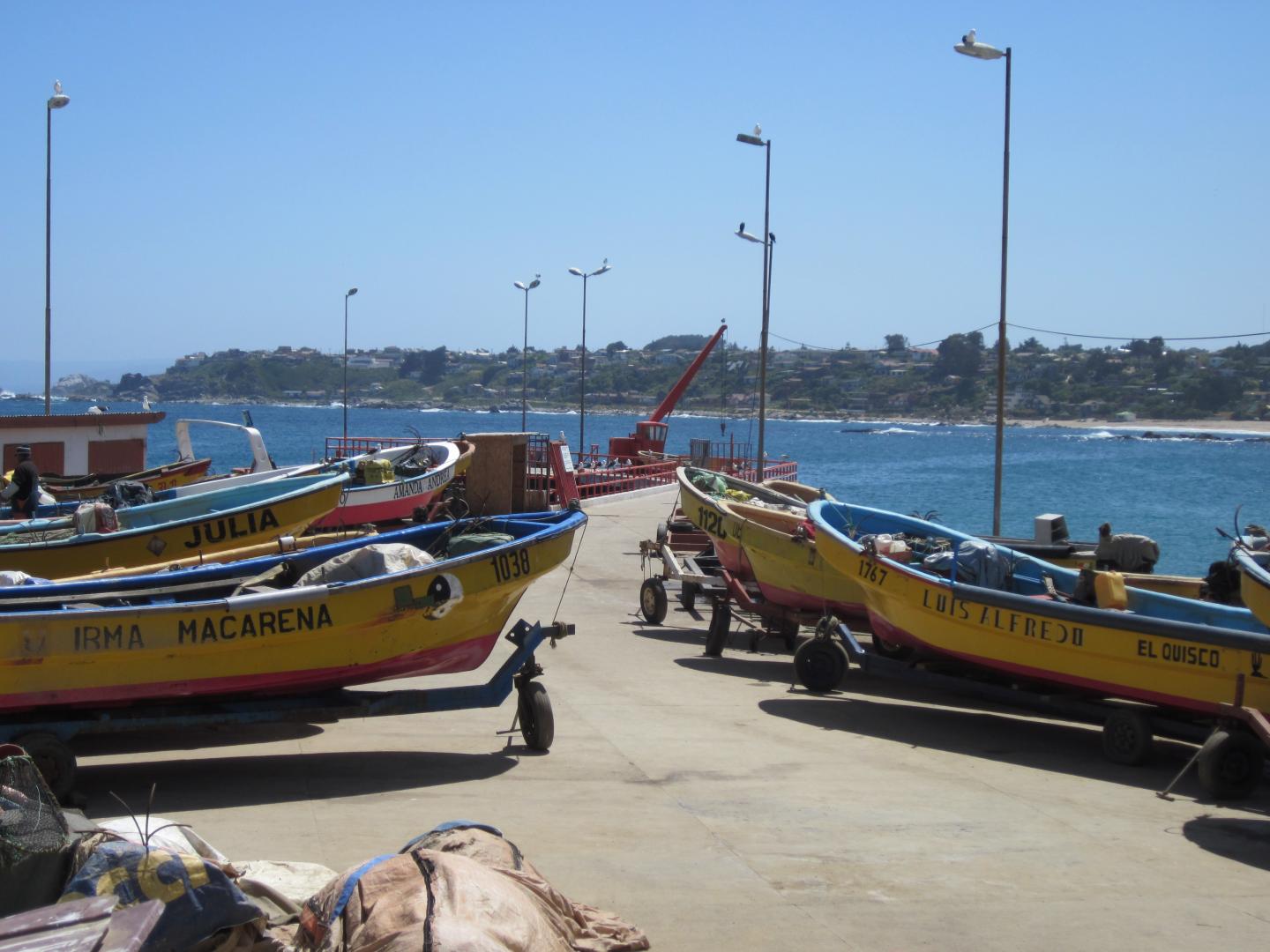 Small-Scale Fishers