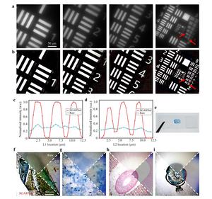 Figure 2 | Restoration results for real-object images.