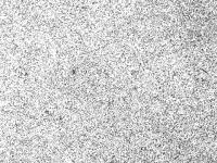 Self-propelled particles condense into clusters