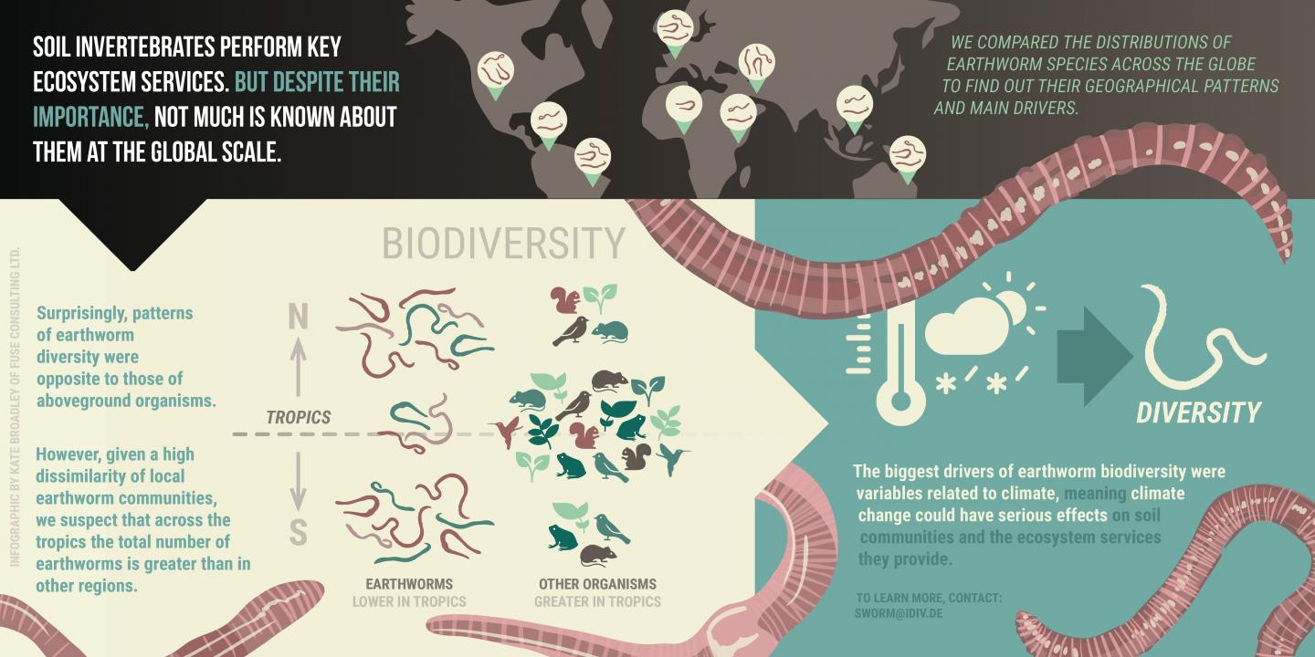 Infographic