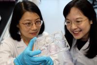 NTU Lead Researchers