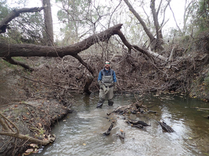 Post-storm research