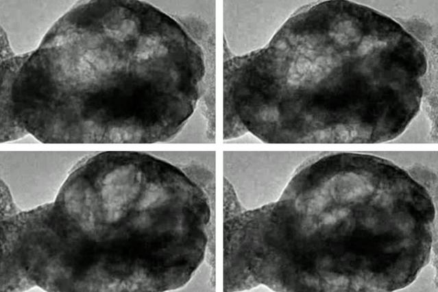 Perovskite Oscillations