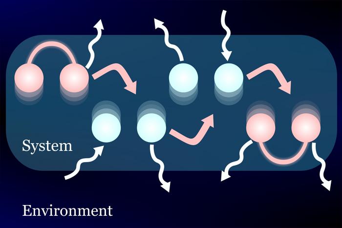 Entangled states enhance energy transfer in models of molecular systems