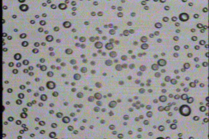 Supercooled liquid clouds