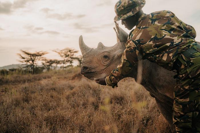 Partnership Creates New Space for Kenya’s Rhinos