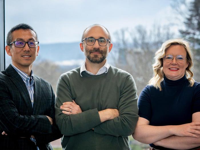 Researchers lead project to gain insight into the purpose of dreams