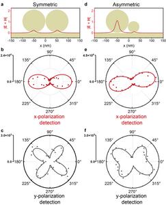 Figure 3 | Polarization and symmetry analyses of SHG.