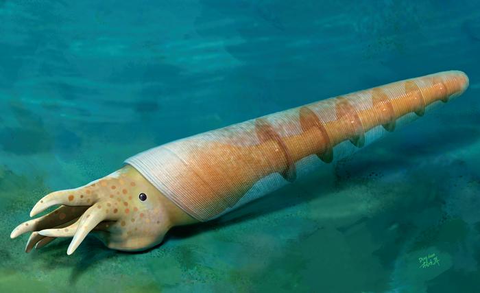 Hypothesized life reconstruction of Eoceras gen. nov.