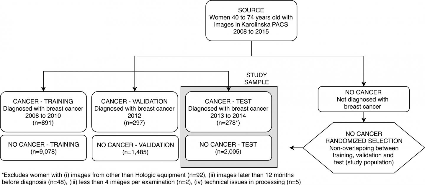 AI Improves Breast Cancer Risk Prediction