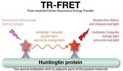 TR-FRET