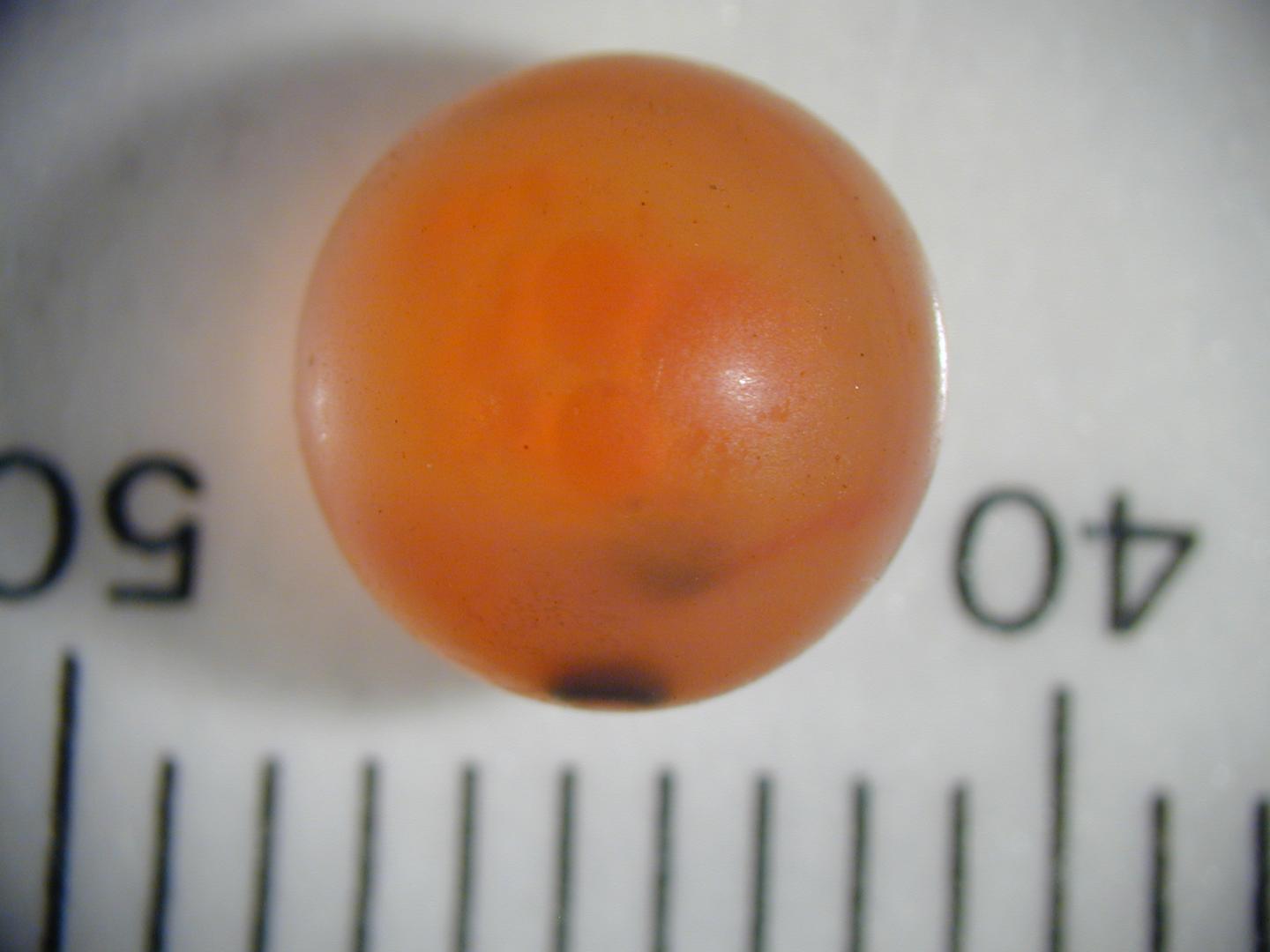 Salmon Egg