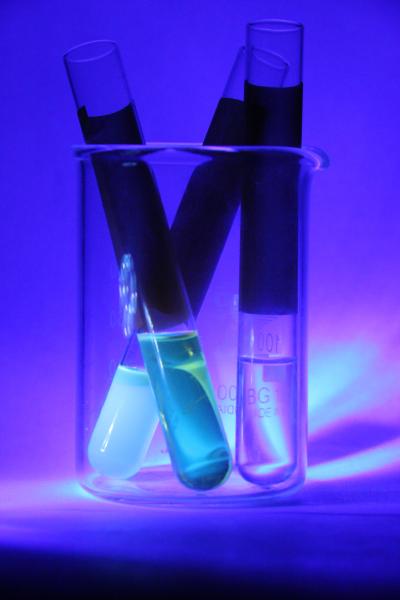 Cadmium Selenide Quantum Dots